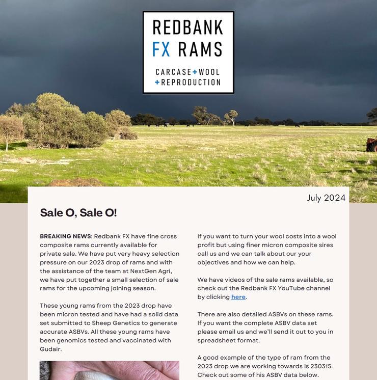 Newsletter - July 2024